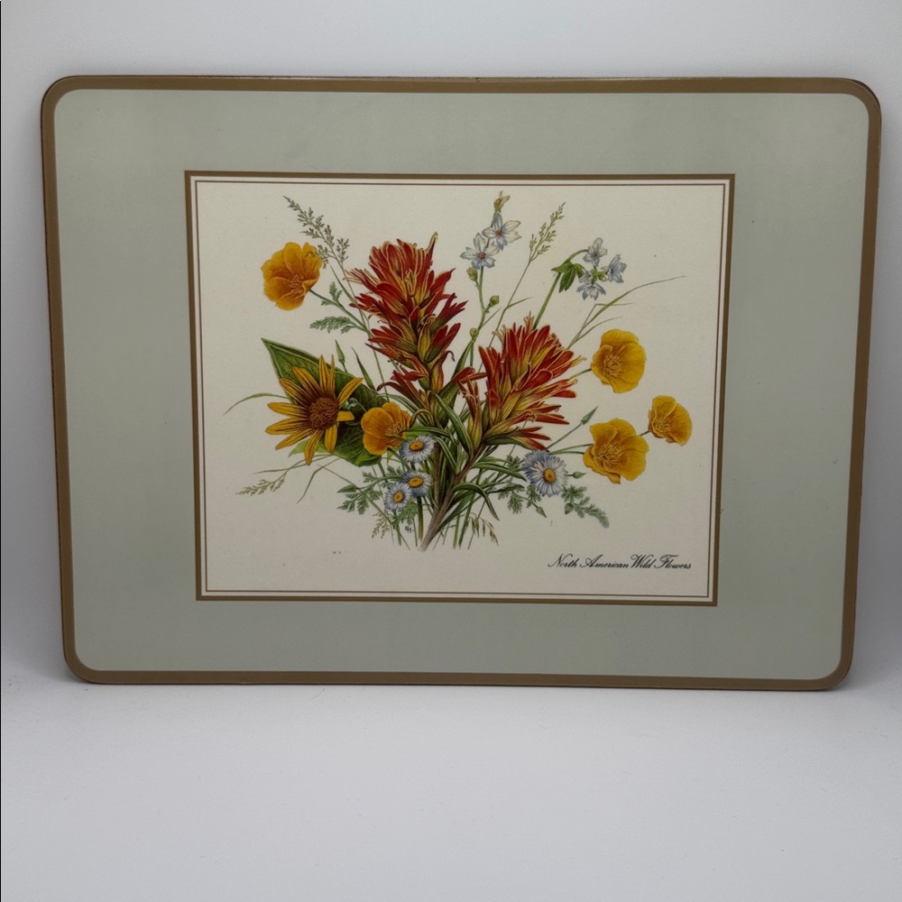 🌸 PIMPERNEL North American Wild Flowers 4 Placemats Floral Cork-Backed Mats - Picture 4 of 7